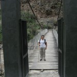 img_8123 img_8123