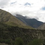 img_8131 img_8131