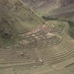 img_8142 img_8142