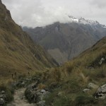 img_8164 img_8164