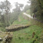 img_8239 img_8239
