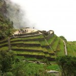 img_8260 img_8260