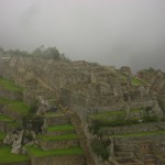img_8321 img_8321