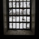 IMG_1245