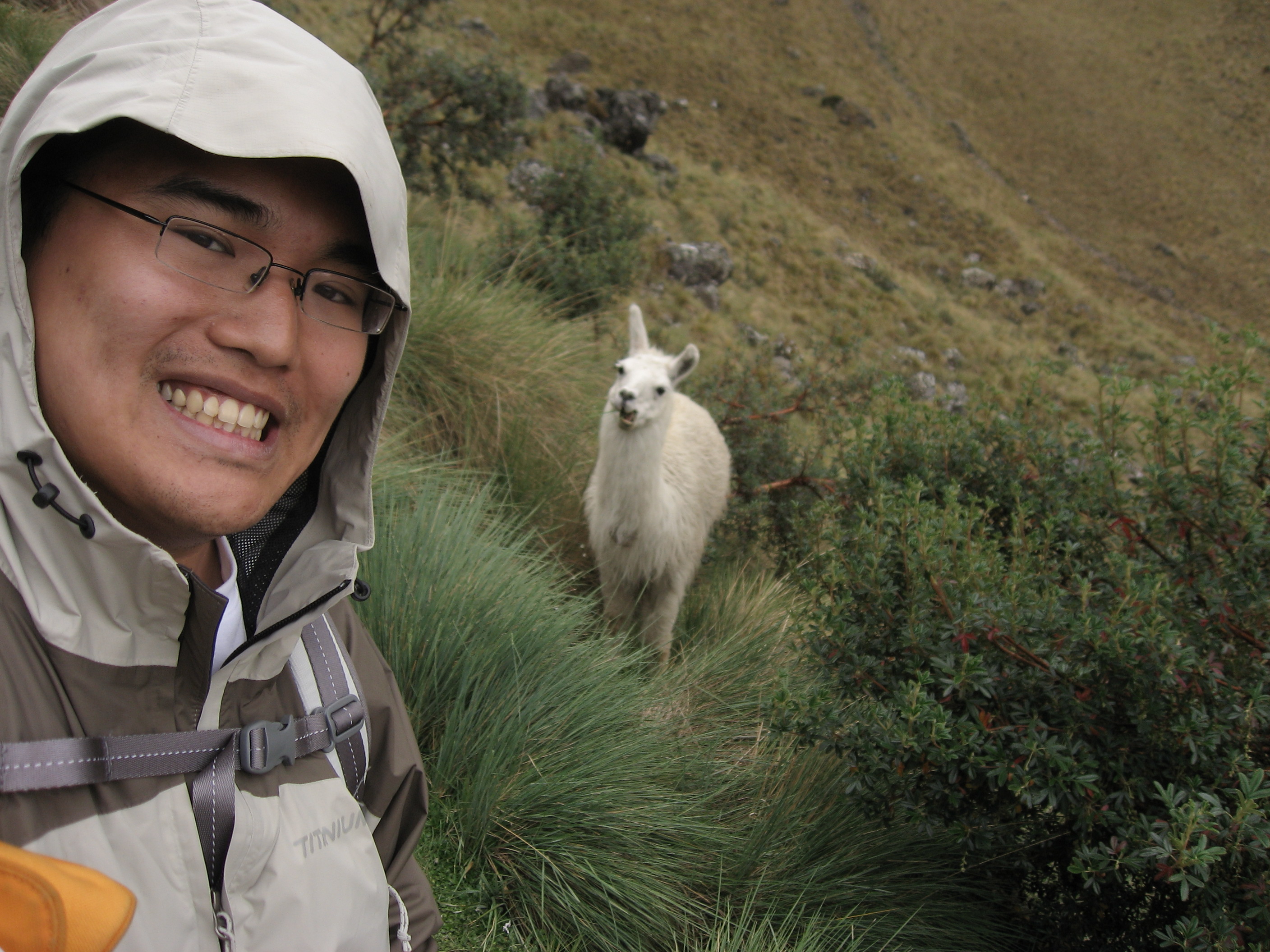 peru 2: the 4 day inca trail hike