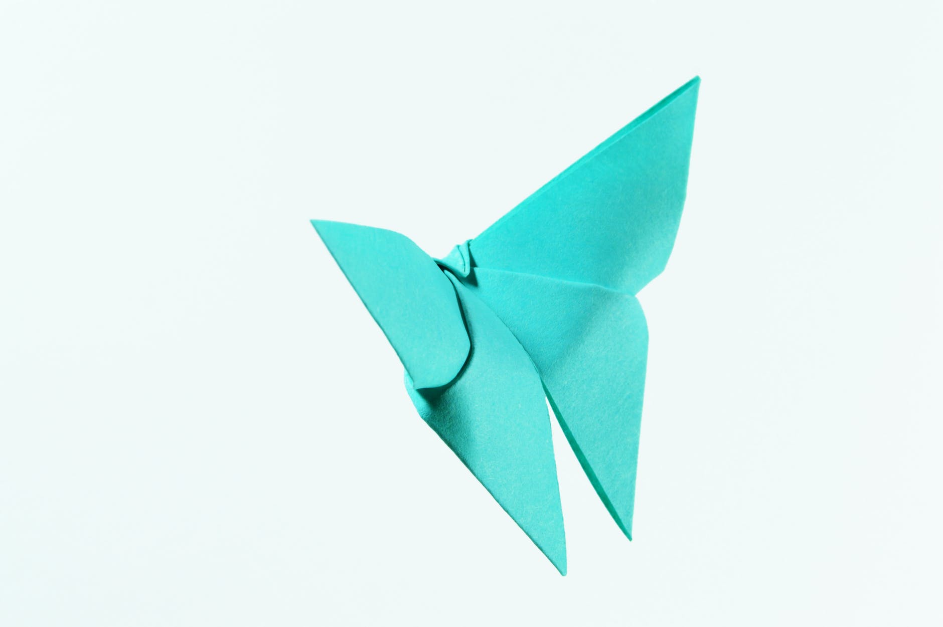 teal paper butterfly illustration