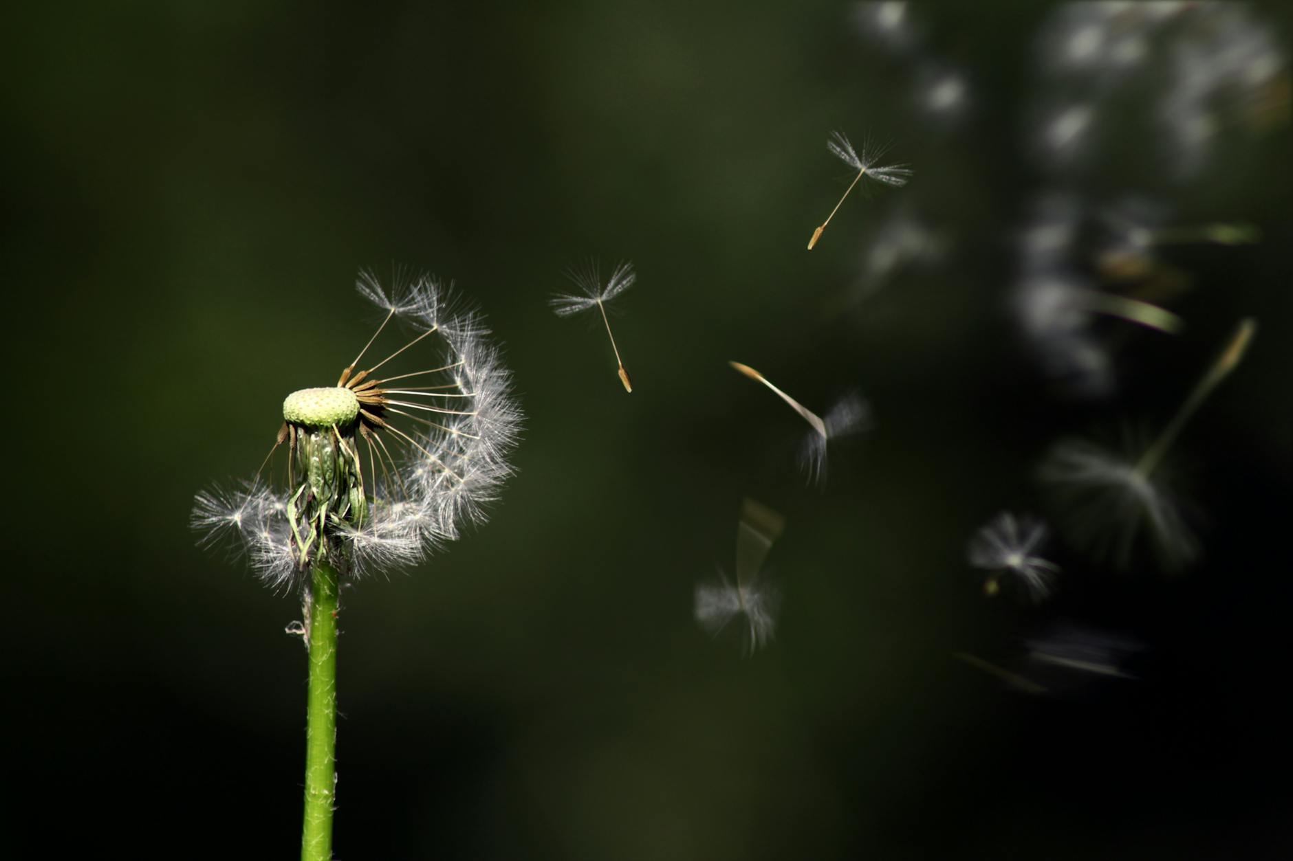 reflections on one year: forgiveness means to wish you well